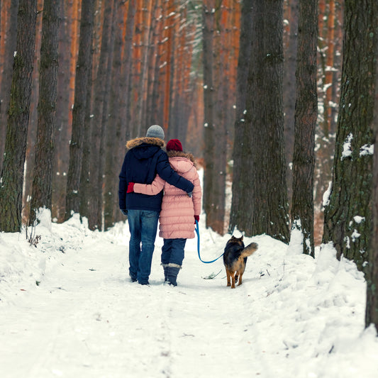 What Outdoor Winter Activities Can Help in Staying Fit?