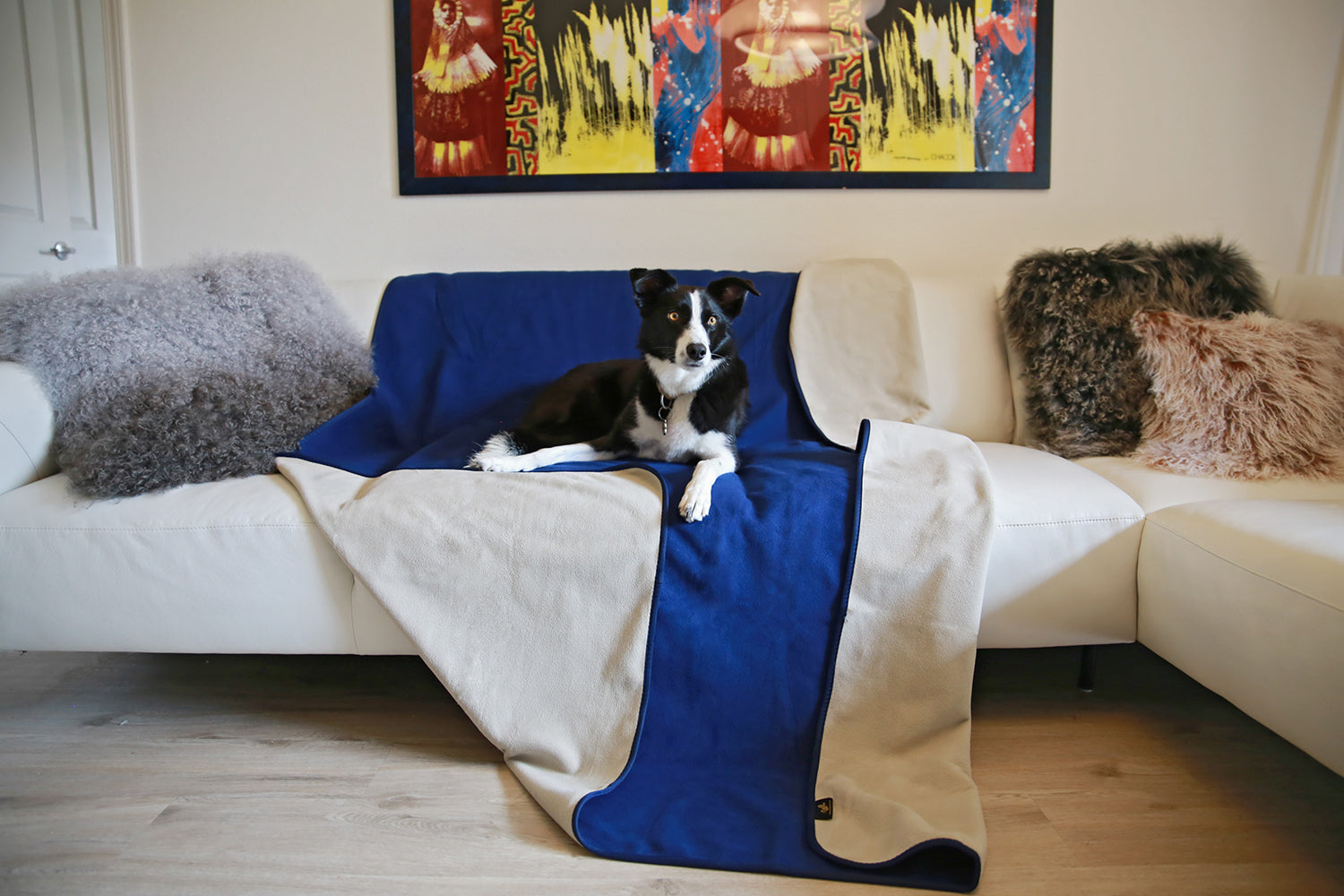 A Must-Have for Pet Owners: Exploring the Benefits of Waterproof Pet Blanket