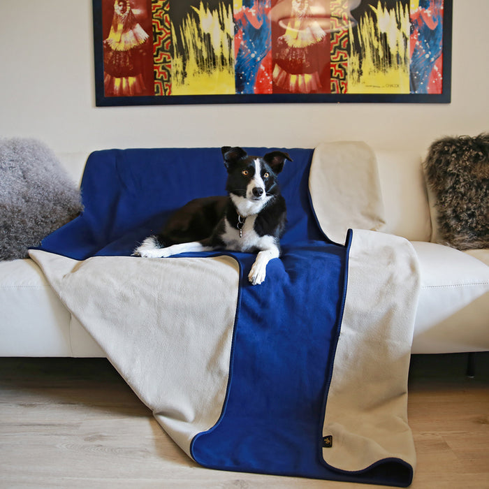 A Must-Have for Pet Owners: Exploring the Benefits of Waterproof Pet Blanket