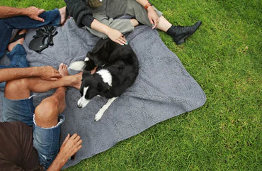 Catalonia waterproof dog blanket for indoor/outdoor use, and easy to wash