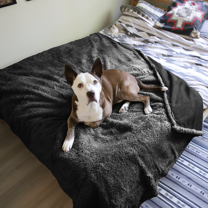 Reversible Polar Fleece Waterproof Blanket