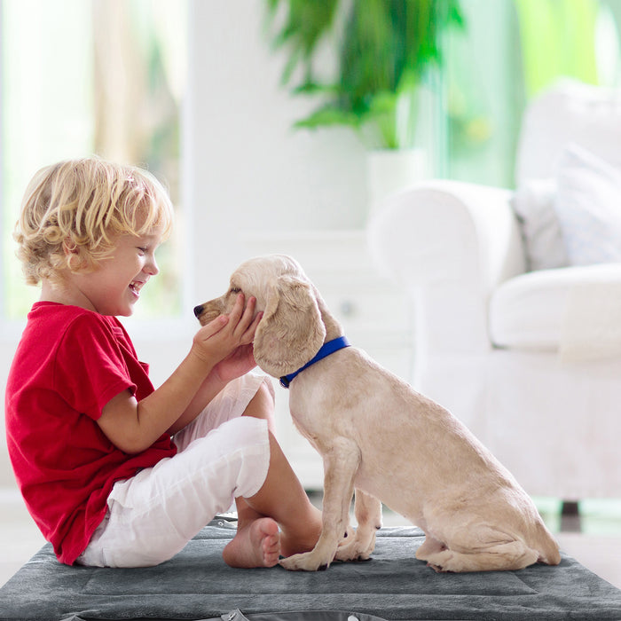 Catalonia Foldable  Waterproof Dog Bed Pad