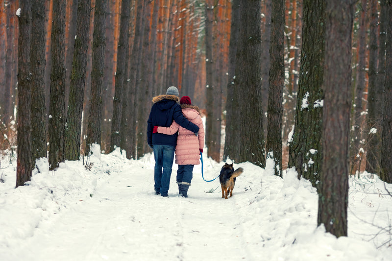What Outdoor Winter Activities Can Help in Staying Fit?
