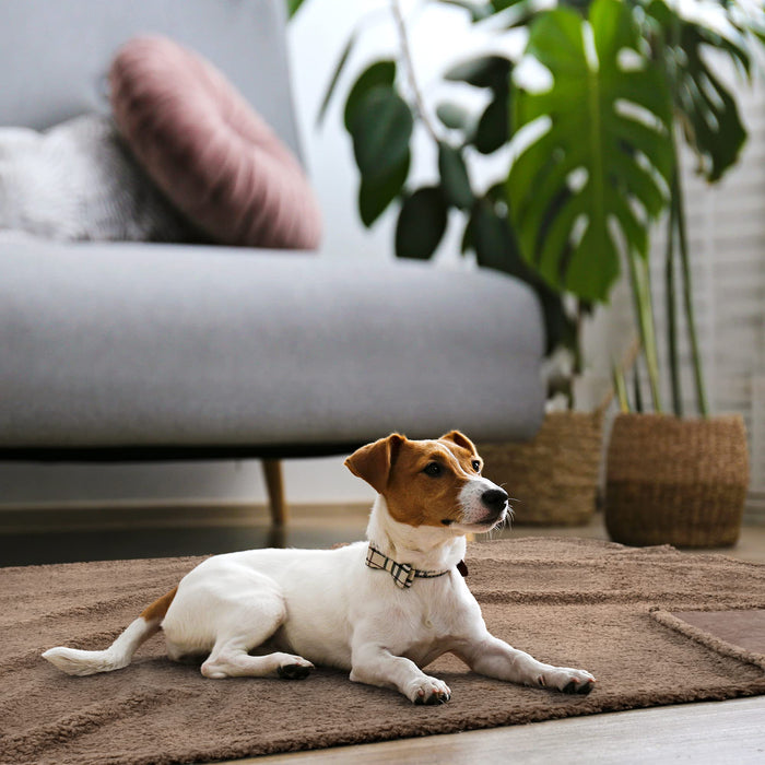 Kritter Planet Suede Teddy Fleece Waterproof Dog Blankets