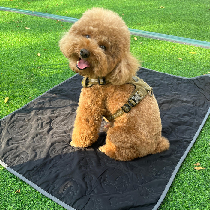 Kritter Planet 2-Pack Lightweight Waterproof Pet Pad