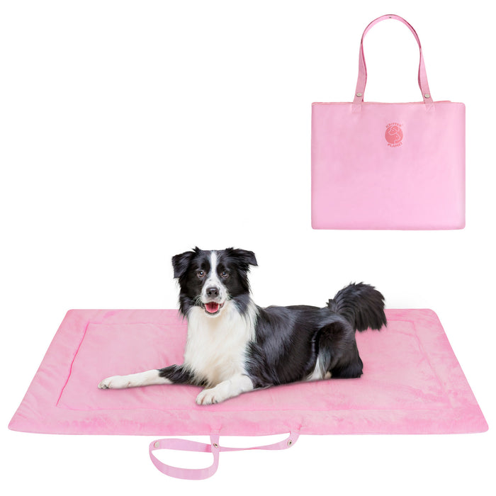 Reversible Dog Travel Mat Waterproof Soft Portable
